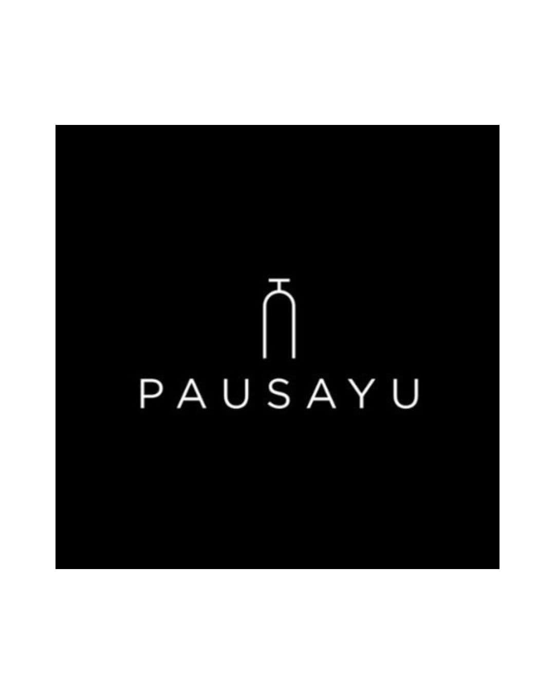 PAUSAYU logo